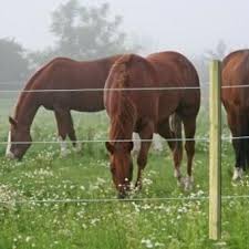 Cerco Eléctrico para Seguridad de sus Animales y su Ganado