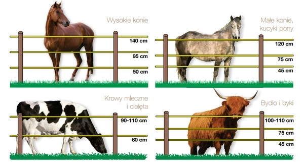 Ventajas Respecto a otros Cercos Eléctricos Para Ganado y Animales